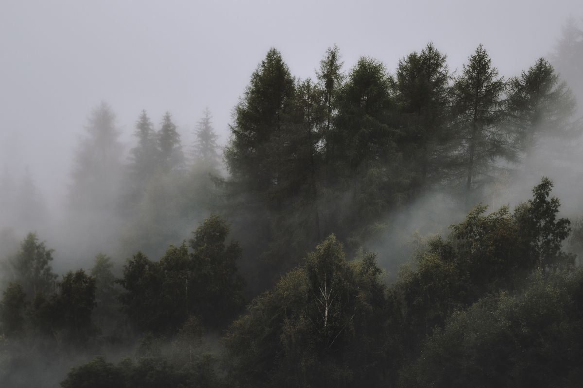 Notes on Cold Light